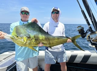 Offshore Fishing (FADs / Oil Rigs) In Gulf Breeze