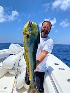 Offshore Fishing (FADs / Oil Rigs) In Gulf Breeze