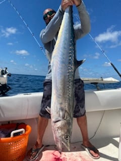 Offshore Fishing (FADs / Oil Rigs) In Gulf Breeze