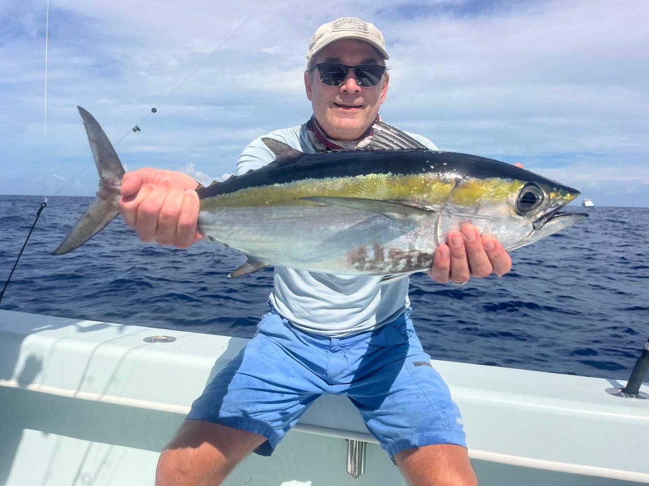 Top Notch Swordfish Seeking In Marathon