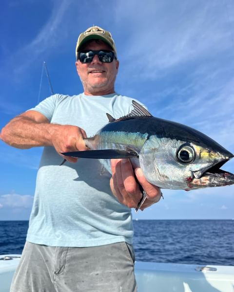 Top Notch Swordfish Seeking In Marathon