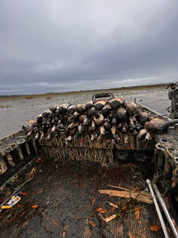 Central Florida Duck Hunts In Wildwood