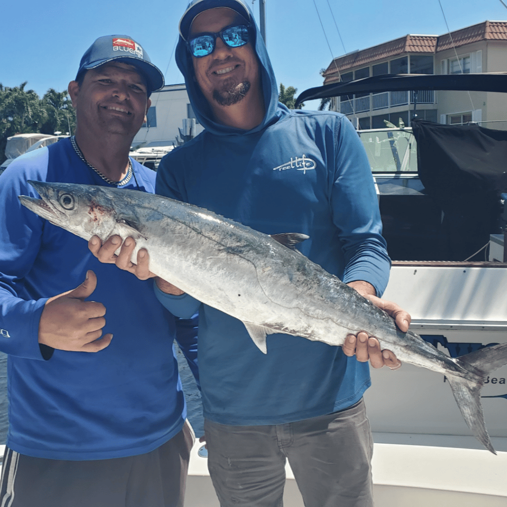 Quick Fish Whack In Pompano Beach