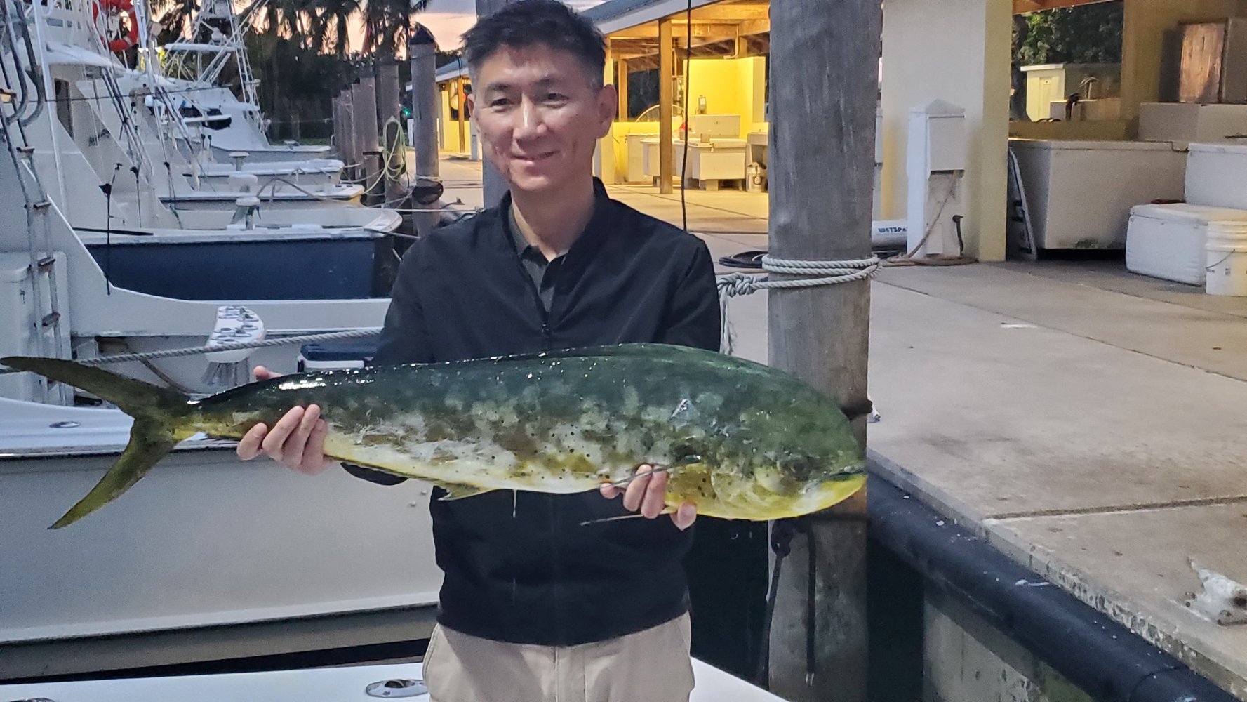 Quick Fish Whack In Pompano Beach