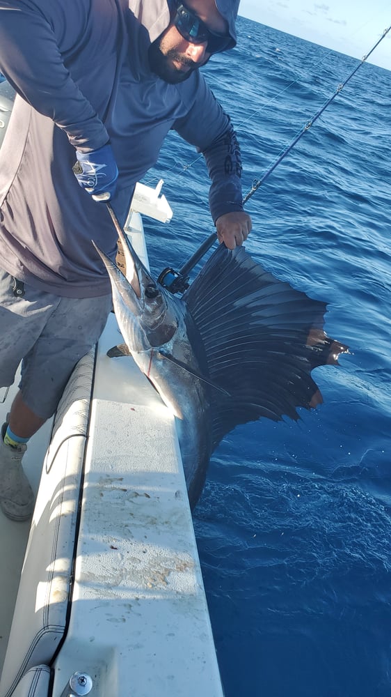 Quick Fish Whack In Pompano Beach