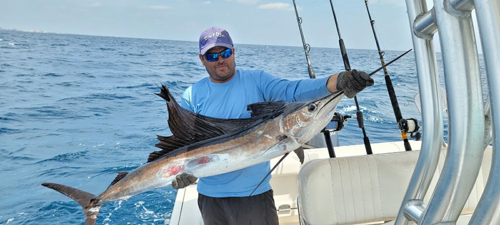 Quick Fish Whack In Pompano Beach