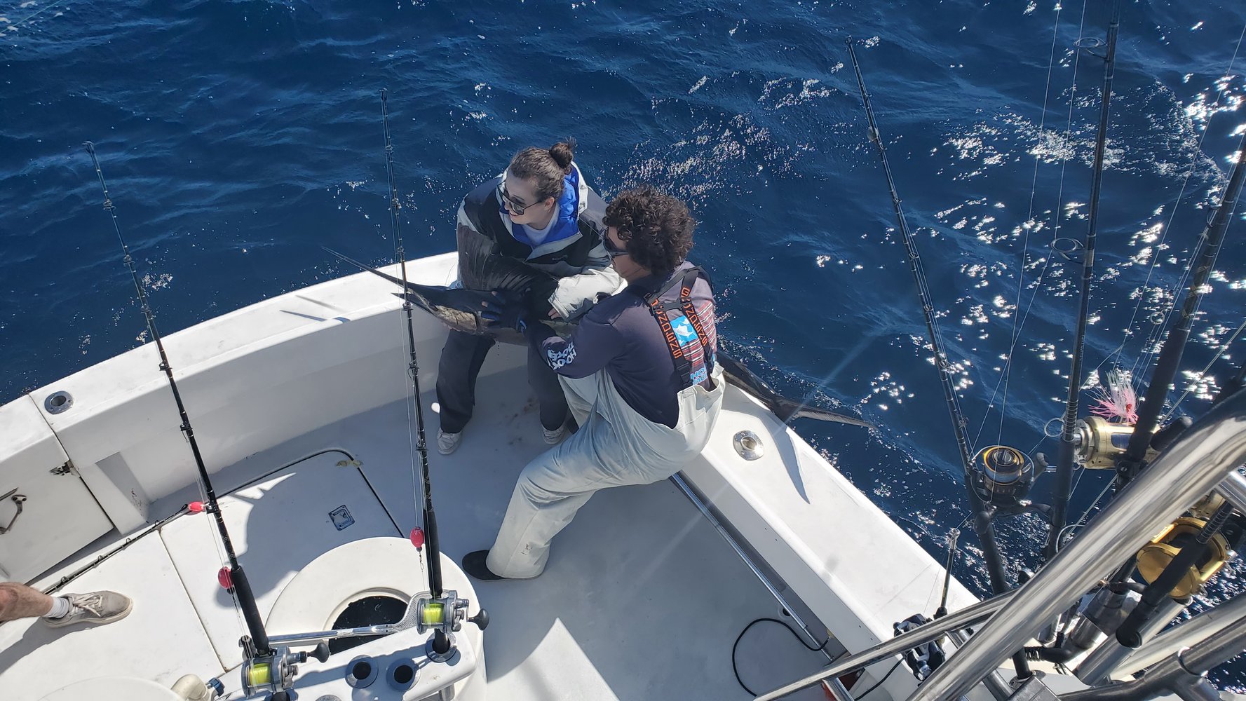 Quick Fish Whack In Pompano Beach