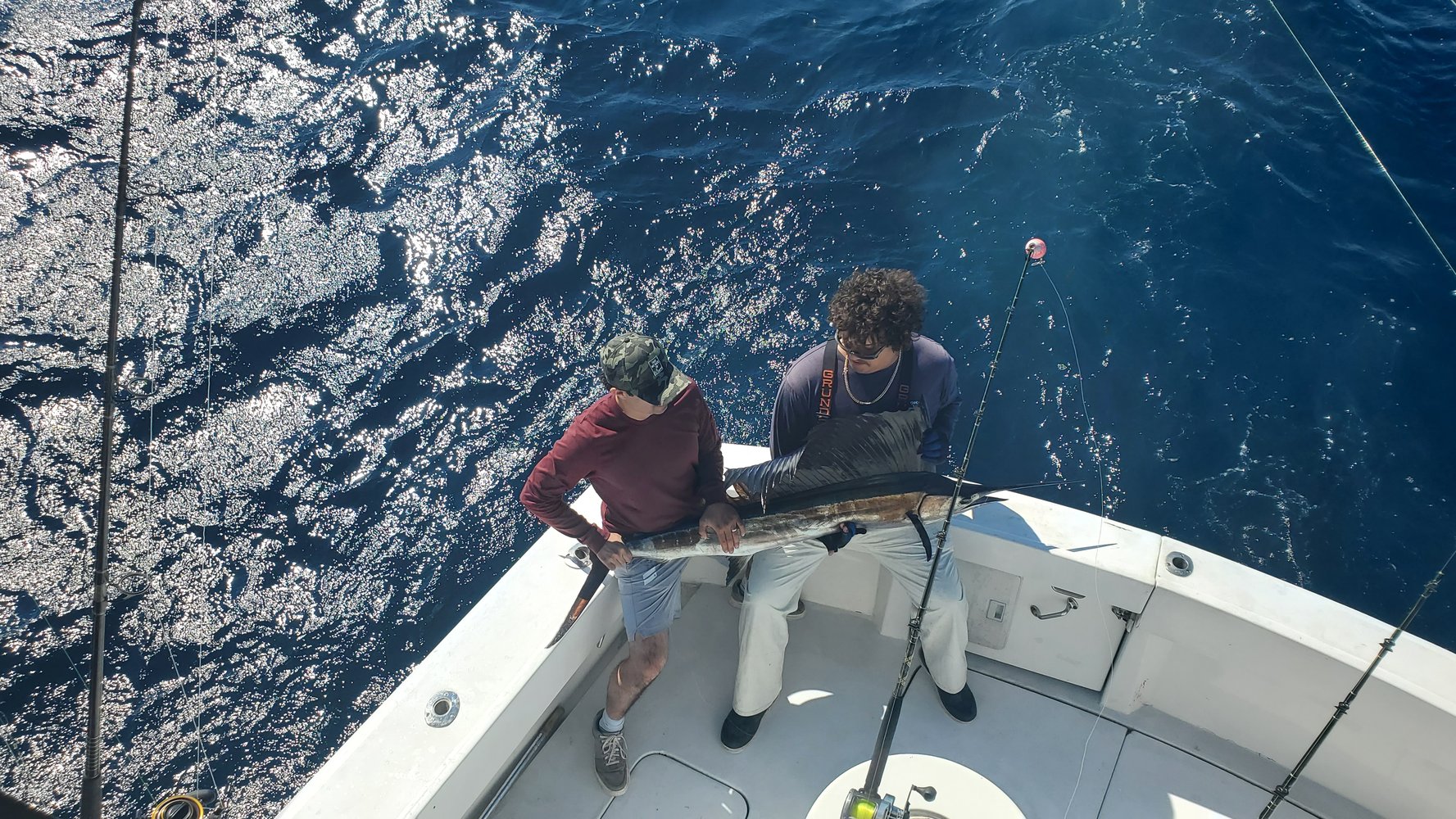 Quick Fish Whack In Pompano Beach