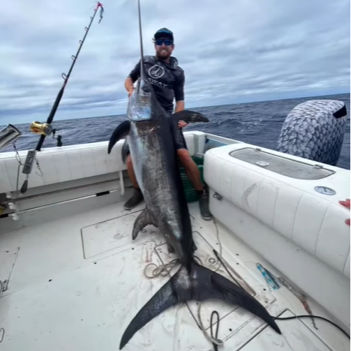 Swordfish Trip - 31' Jupiter In Pompano Beach