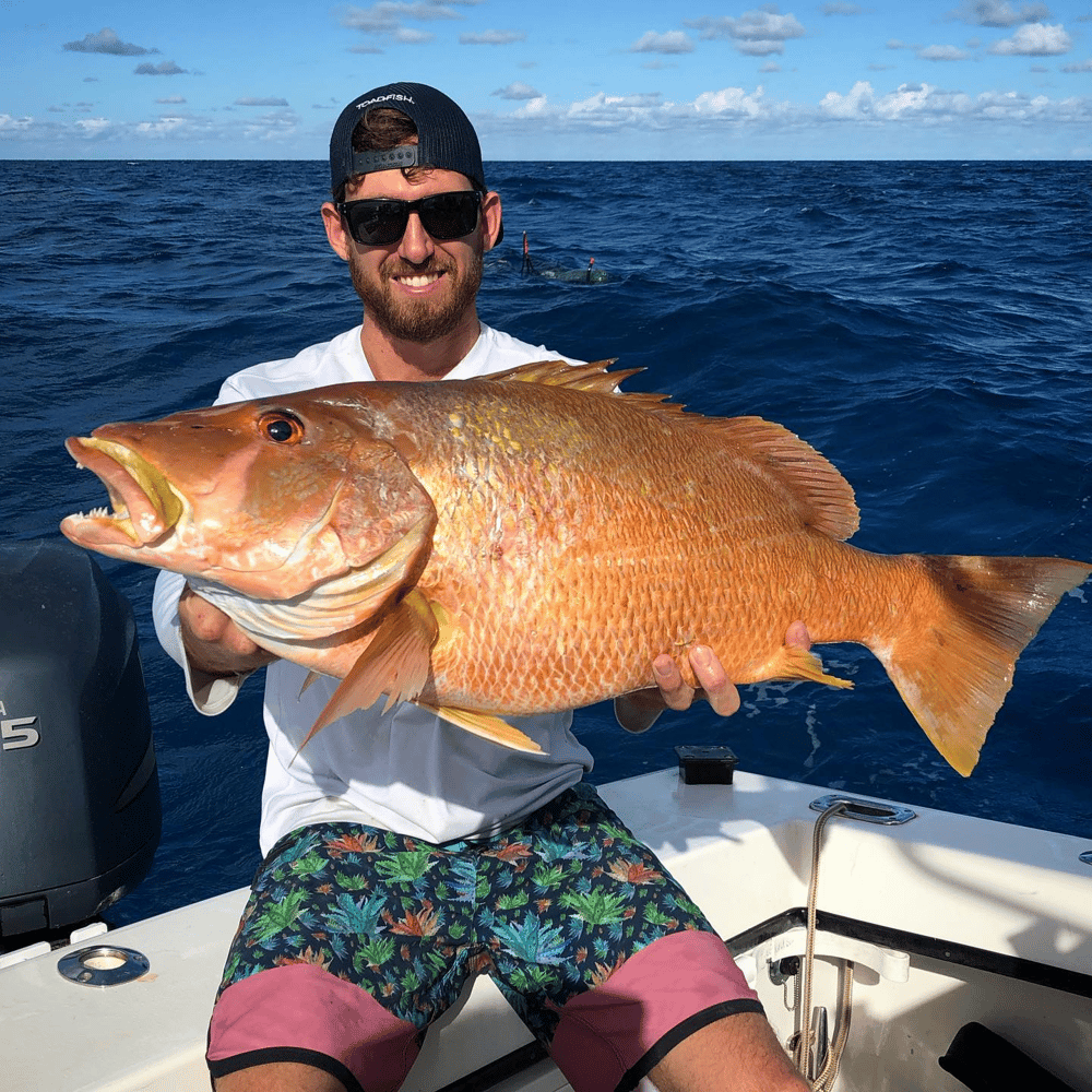 Drift Fishing Trip - 31' Jupiter In Pompano Beach