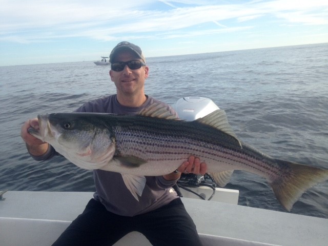 Early Season Striper 33’ In Chatham