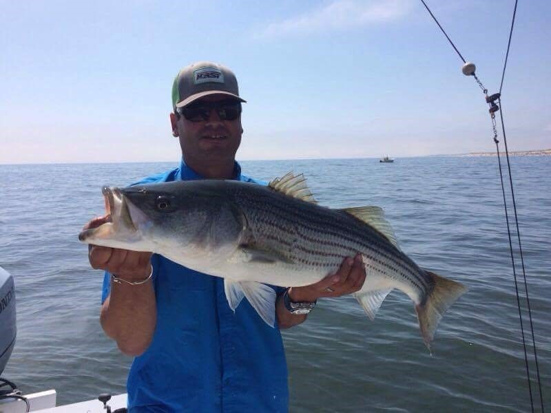 Early Season Striper 33’ In Chatham