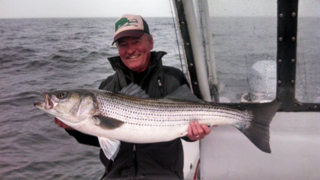 Fall Striper Trip - 26' Regulator In Chatham