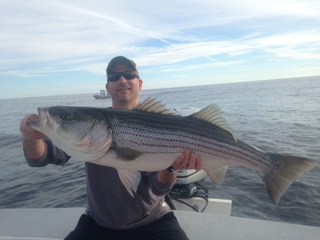 Fall Striper Trip - 26' Regulator In Chatham