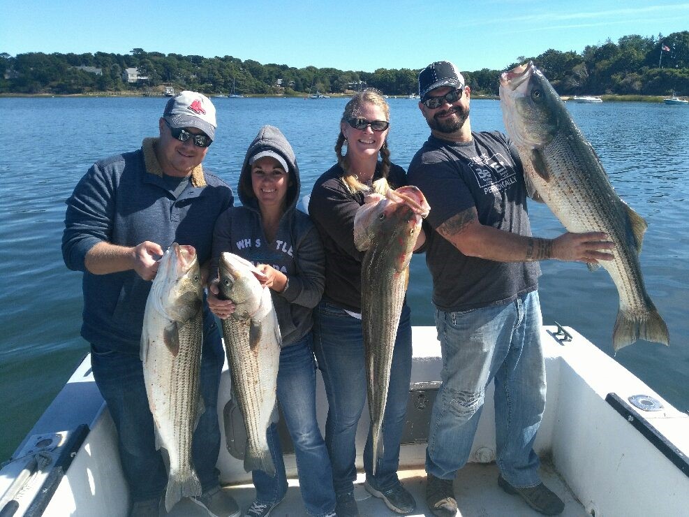 Early Season Striper 33’ In Chatham