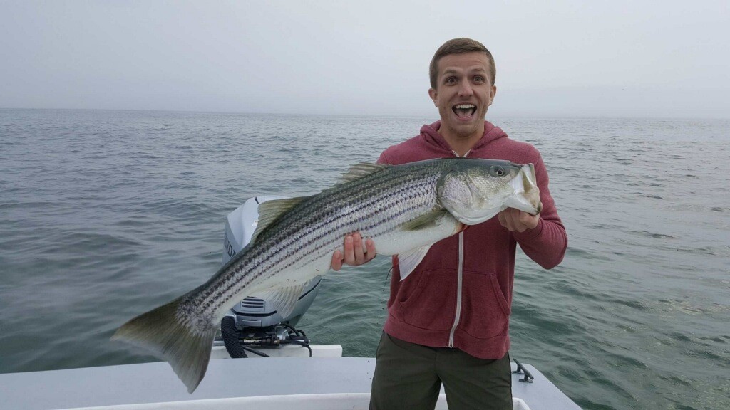 Early Season Striper 33’ In Chatham