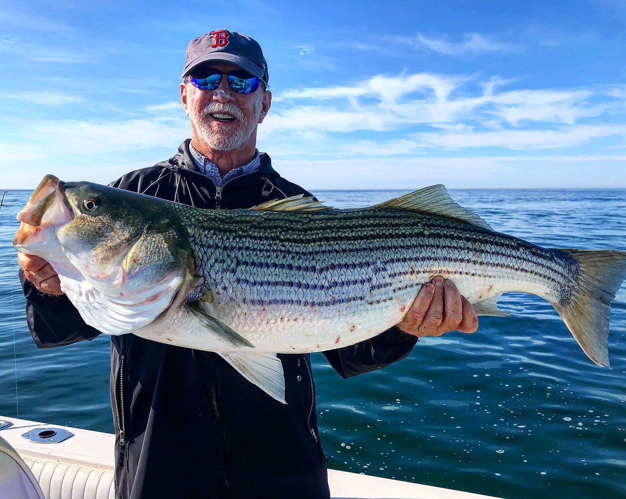 Early Season Striper 33’ In Chatham