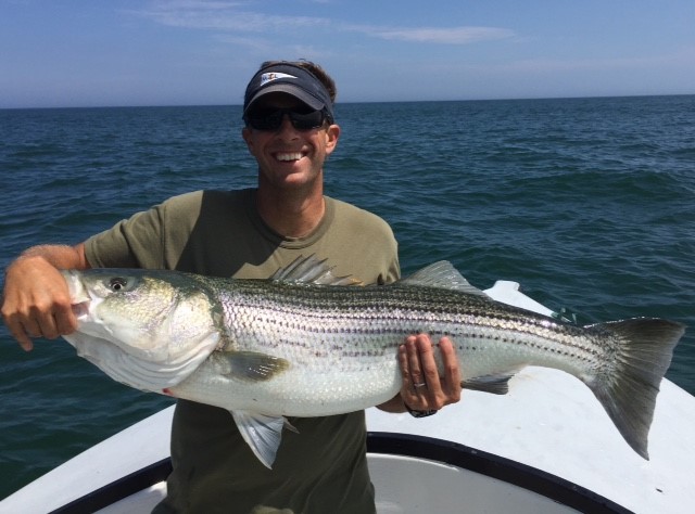 Early Season Striper 33’ In Chatham