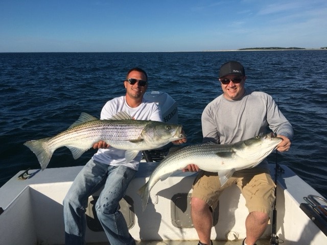 Fall Striper Trip - 26' Regulator In Chatham