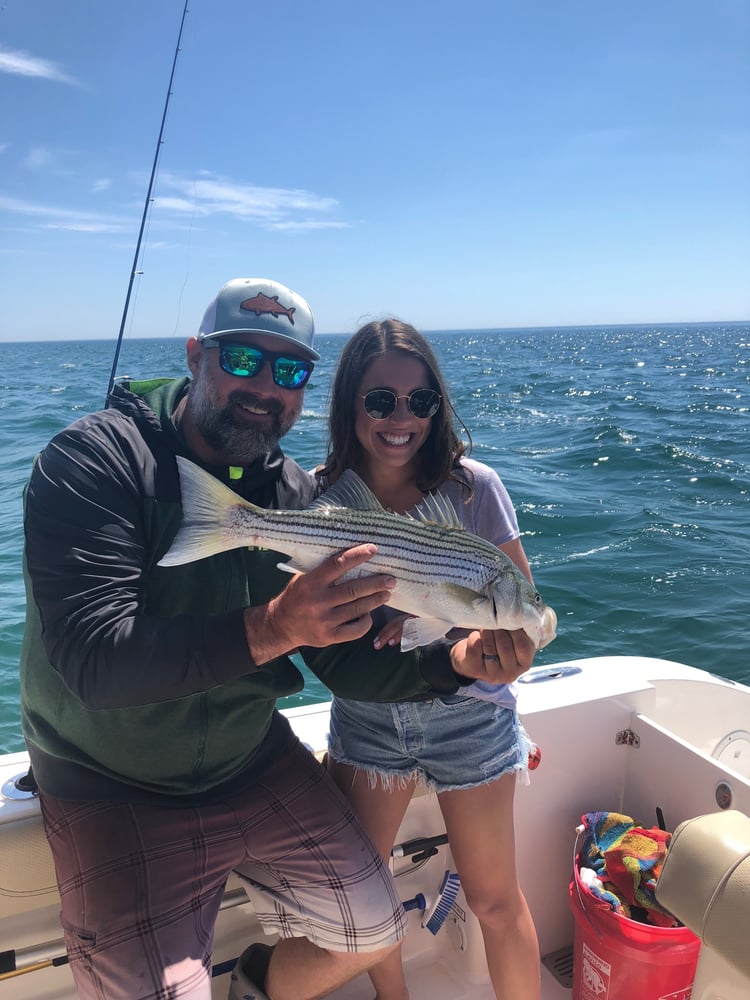 Early Season Striper 33’ In Chatham