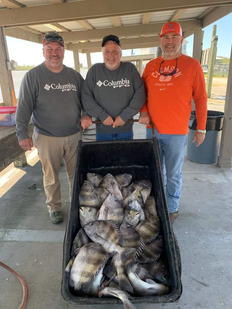 Sheepshead Smash In Boothville-Venice