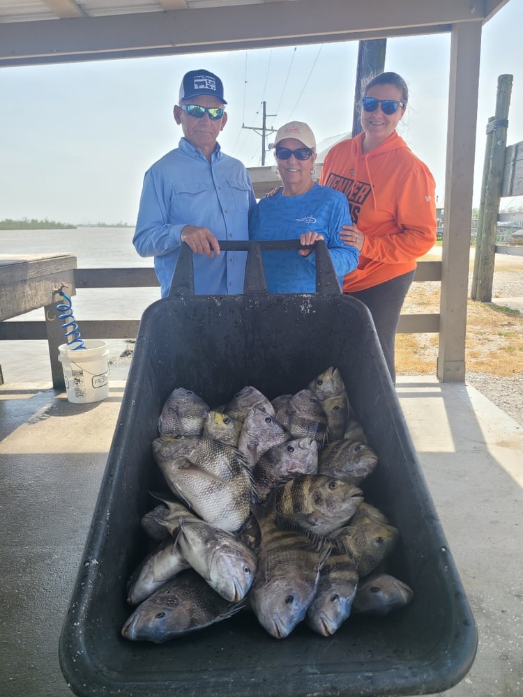 Sheepshead Smash In Boothville-Venice