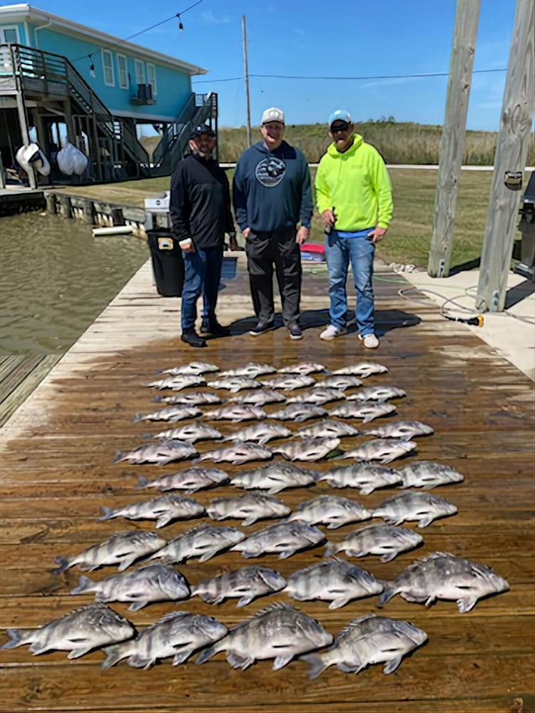 Sheepshead Smash In Boothville-Venice