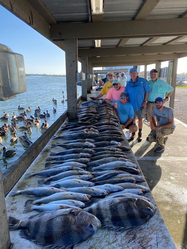 Sheepshead Smash In Boothville-Venice