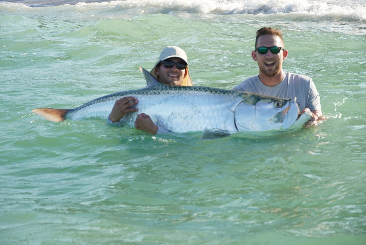 Tarpon Charters In St. Petersburg