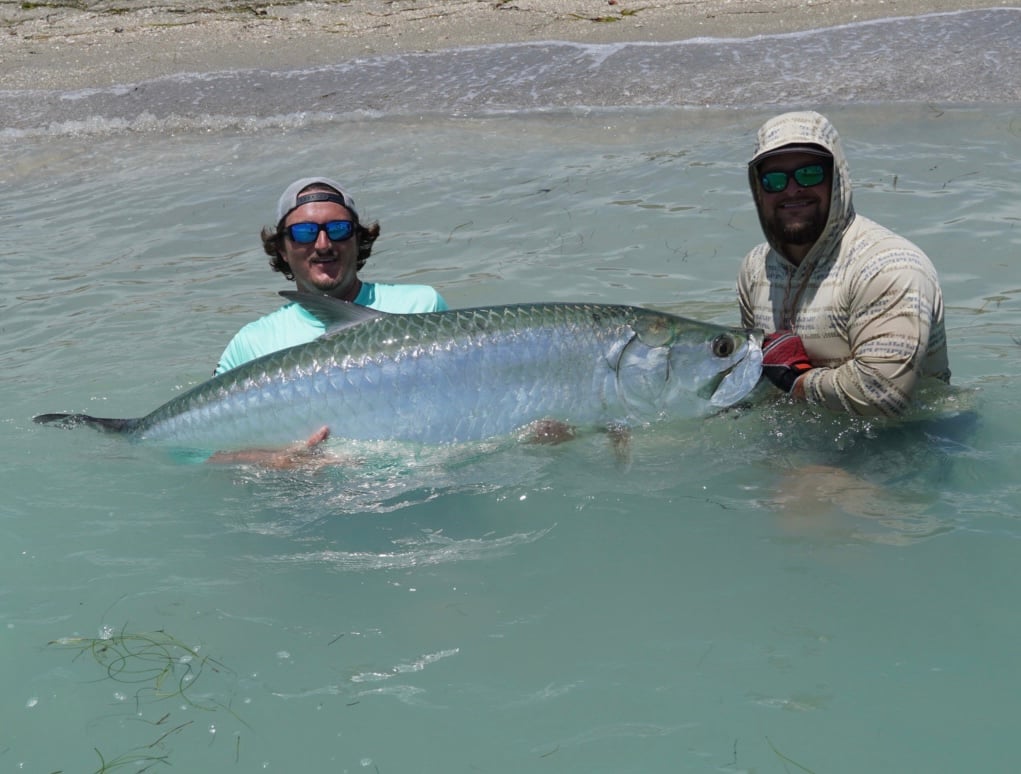 Tarpon Charters In St. Petersburg