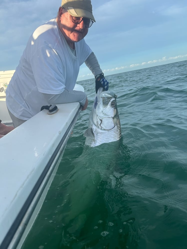 Tarpon Charters In St. Petersburg