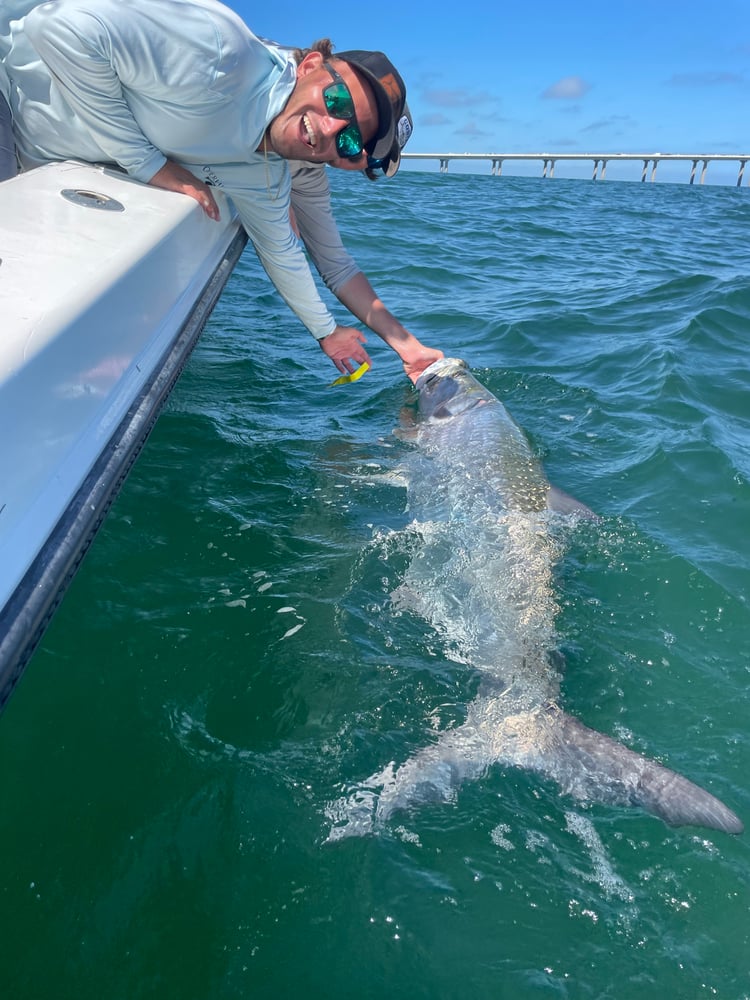 Tarpon Charters In St. Petersburg