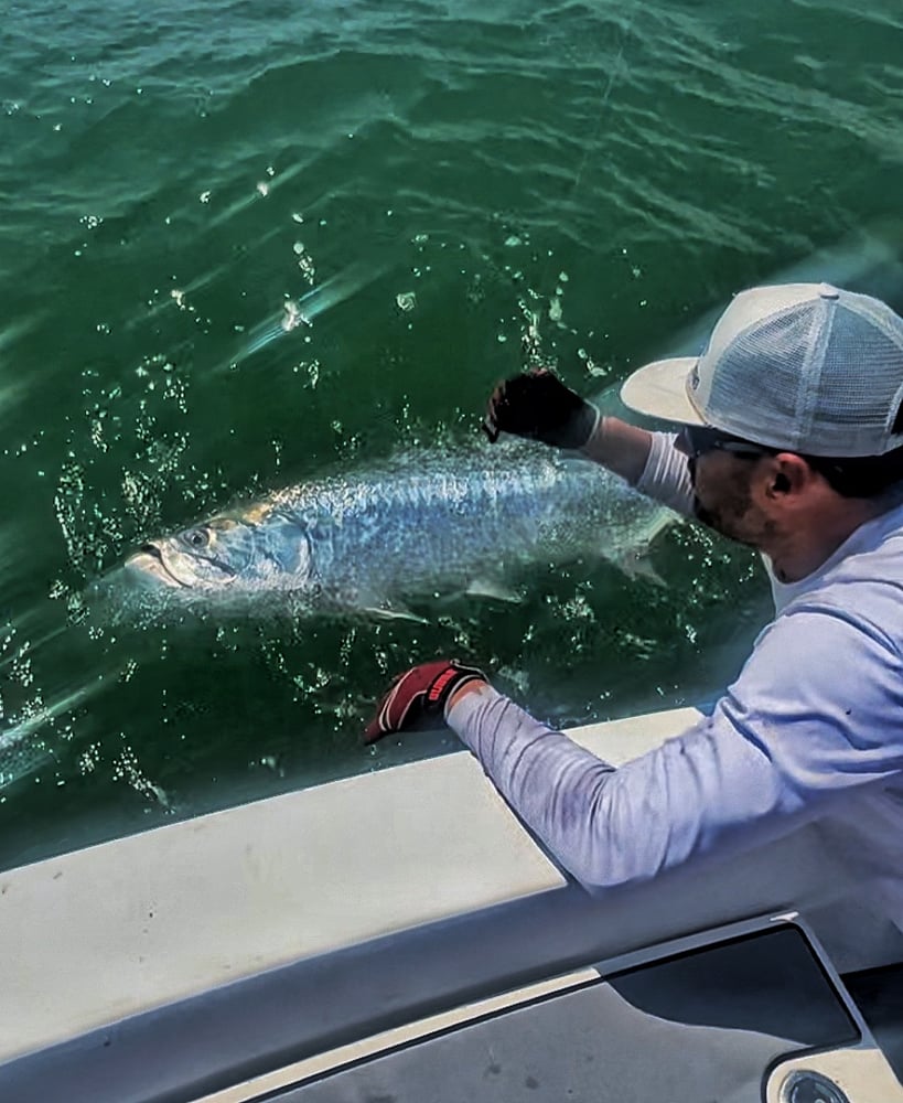 Tarpon Charters In St. Petersburg