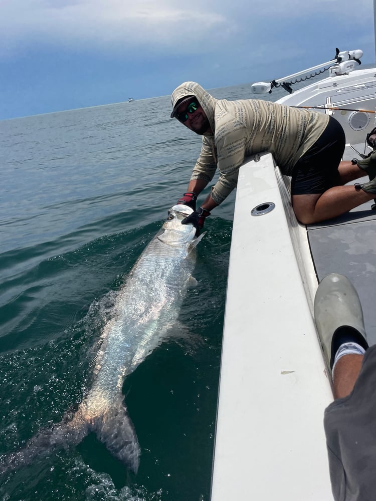 Tarpon Charters In St. Petersburg