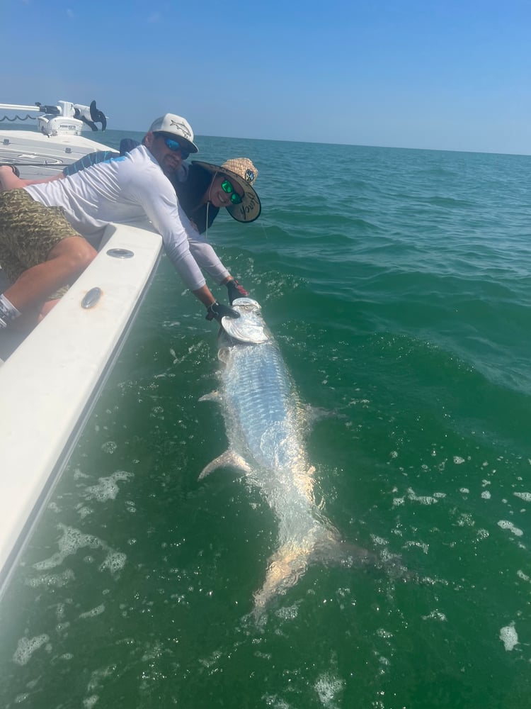 Tarpon Charters In St. Petersburg