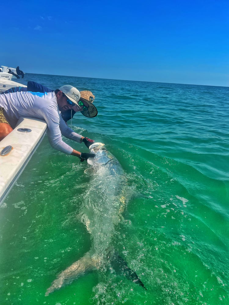 Tarpon Charters In St. Petersburg