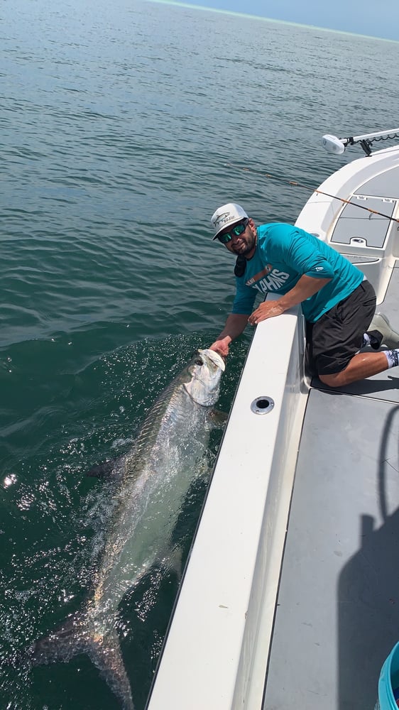 Tarpon Charters In St. Petersburg