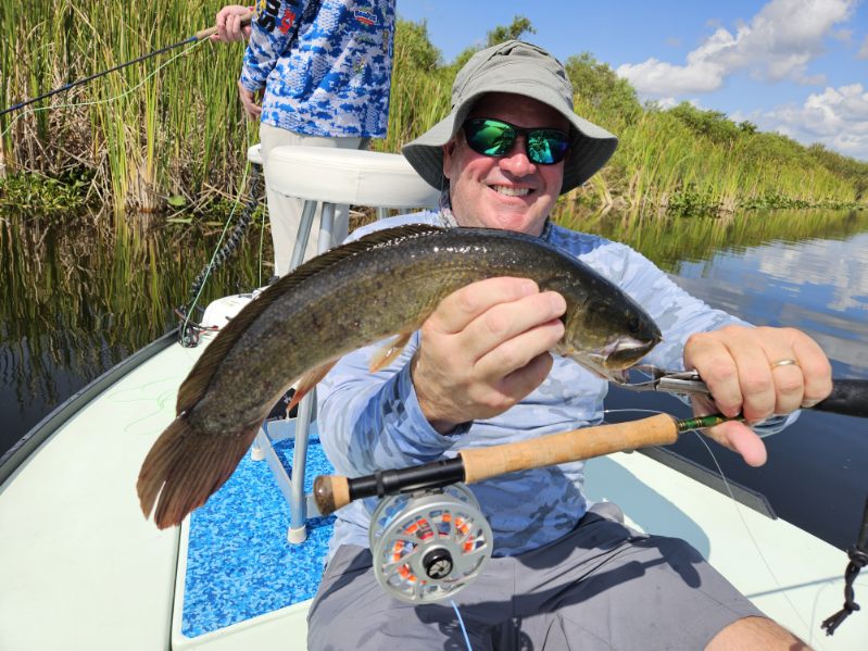 Peacock Bass: Fly Or Spin In Fort Lauderdale