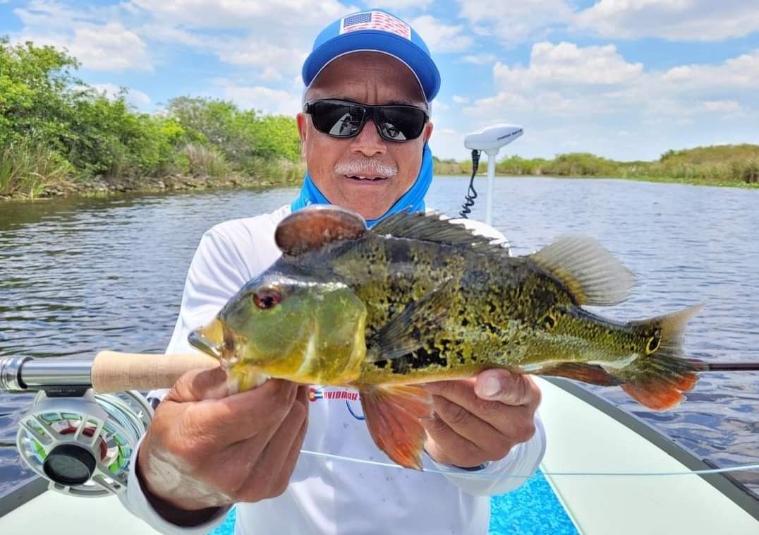 Peacock Bass: Fly Or Spin In Fort Lauderdale