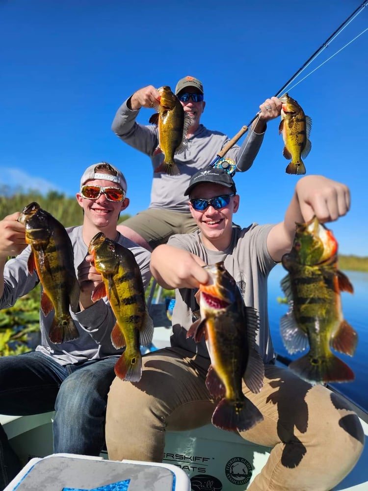 Peacock Bass: Fly Or Spin In Fort Lauderdale