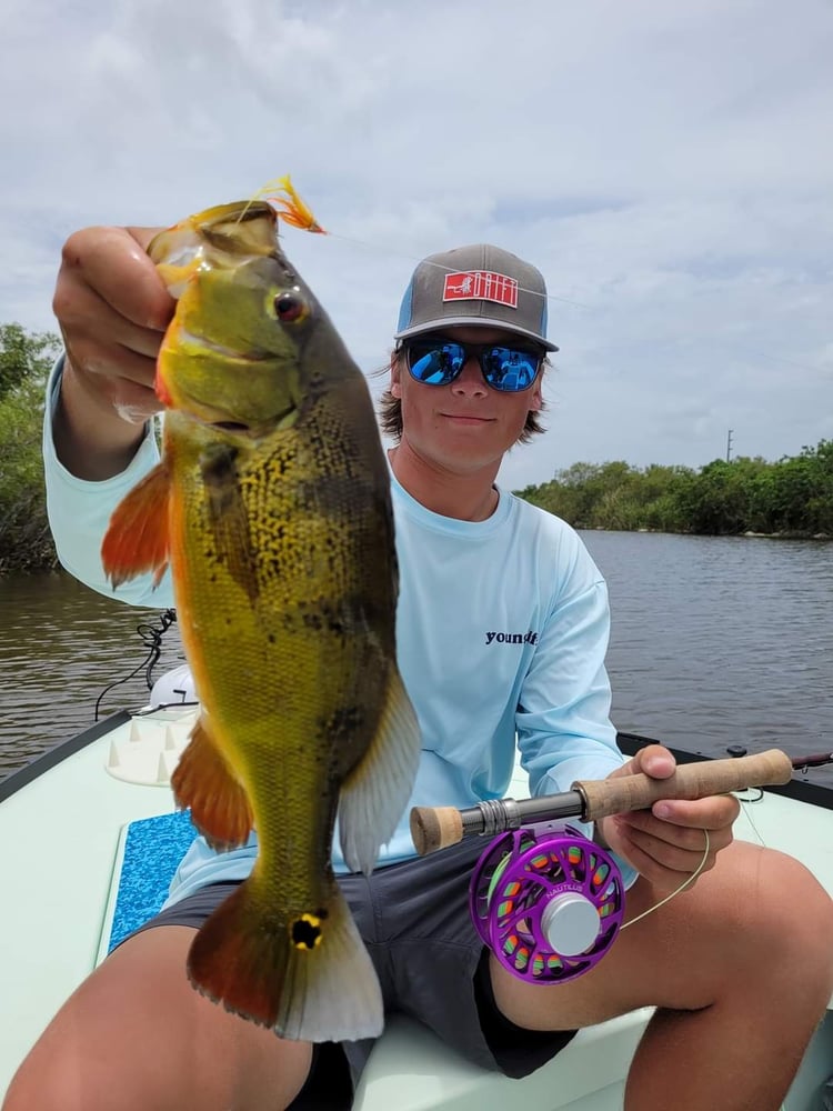 Peacock Bass: Fly Or Spin In Fort Lauderdale