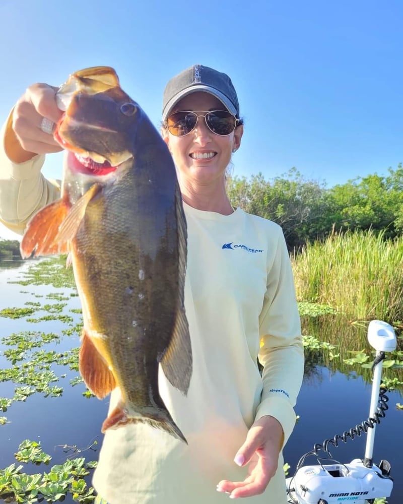 Peacock Bass: Fly Or Spin In Fort Lauderdale