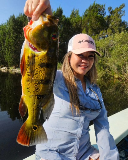 Peacock Bass: Fly Or Spin In Fort Lauderdale