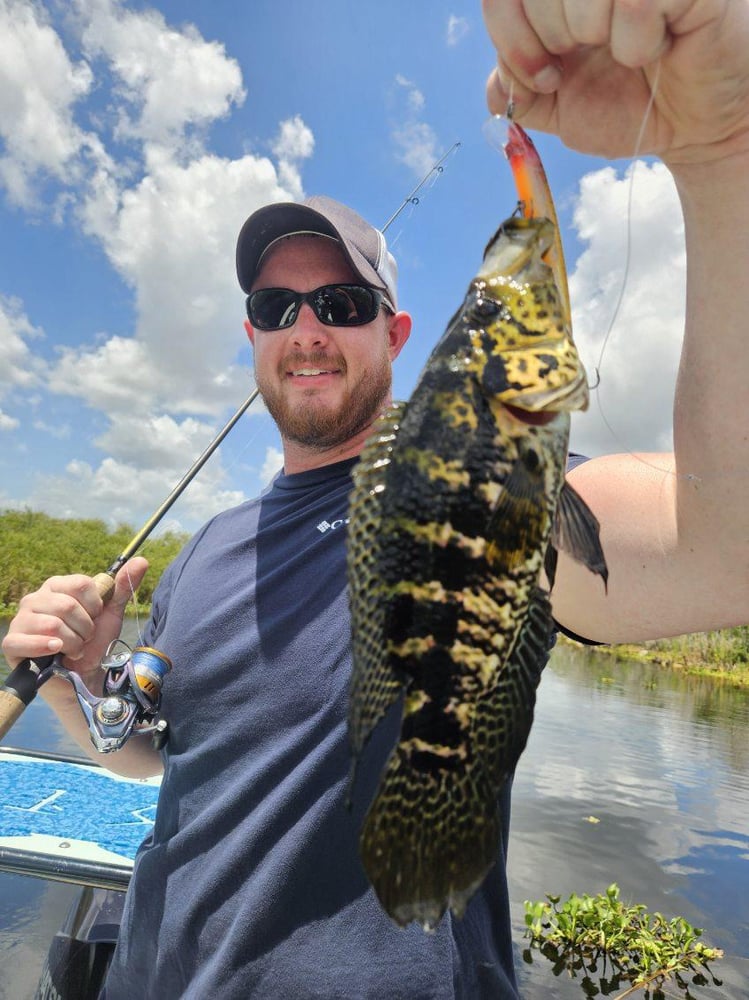 Peacock Bass: Fly Or Spin In Fort Lauderdale