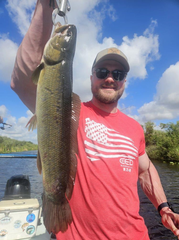 Peacock Bass: Fly Or Spin In Fort Lauderdale