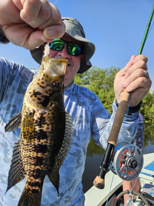 Peacock Bass: Fly Or Spin In Fort Lauderdale