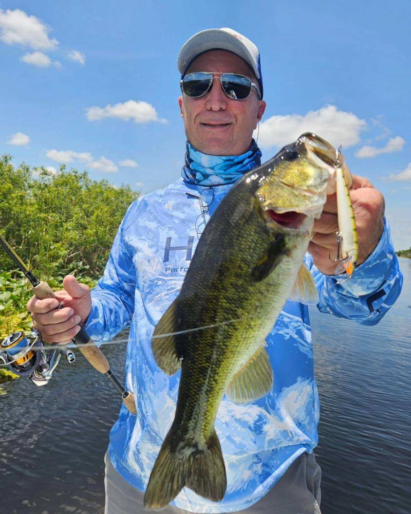 Peacock Bass: Fly Or Spin In Fort Lauderdale