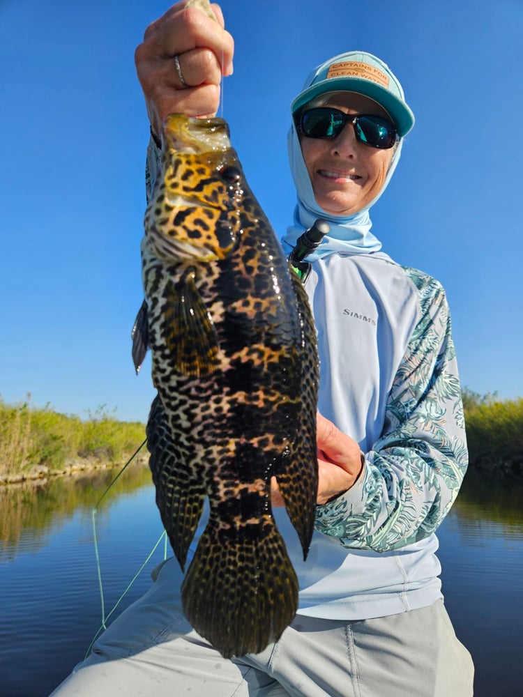 Peacock Bass: Fly Or Spin In Fort Lauderdale