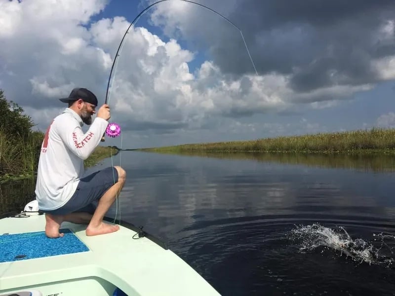 Peacock Bass: Fly Or Spin In Fort Lauderdale