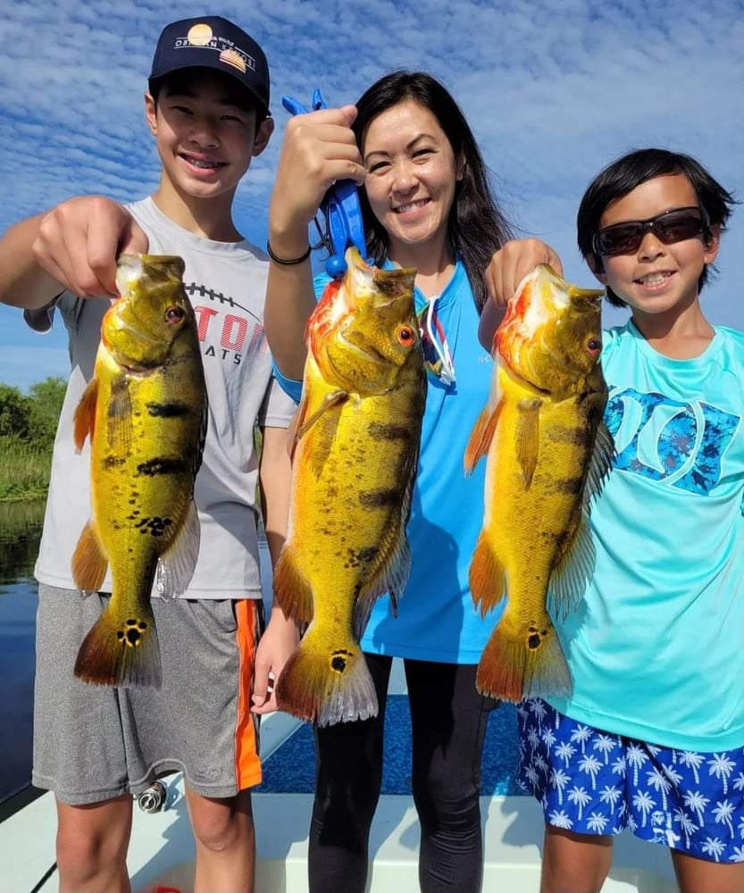 Peacock Bass: Fly Or Spin In Fort Lauderdale